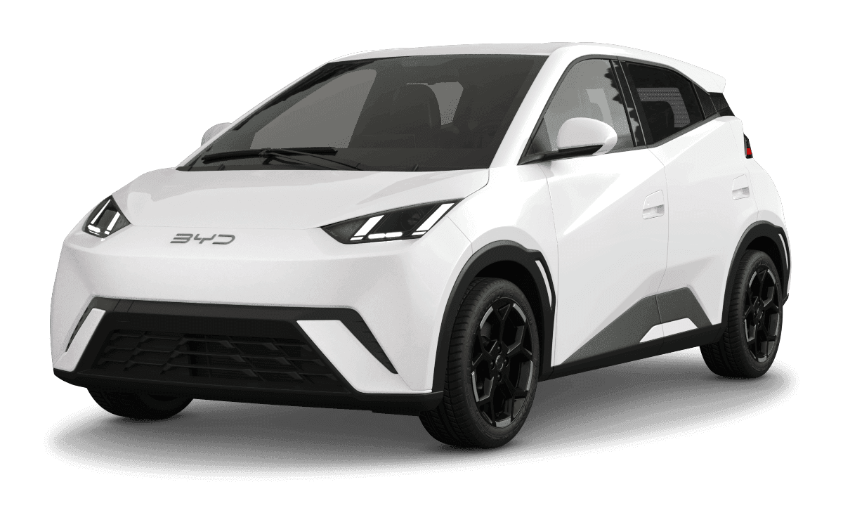 BYD DOLPHIN SURF
